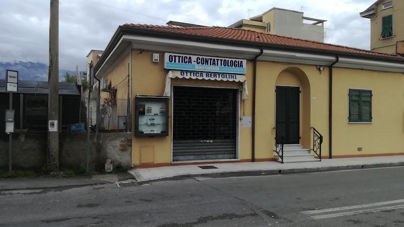 Ottica Bertolini Gino - Ottico - Carrara